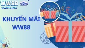 Top Khuyến Mãi WW88 Mới Nhất 2024 Dành Cho Hội Viên Mới 